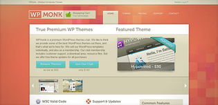 WordPress博客設(shè)計(jì)新浪潮 2024年創(chuàng)意趨勢(shì)與開(kāi)發(fā)實(shí)踐